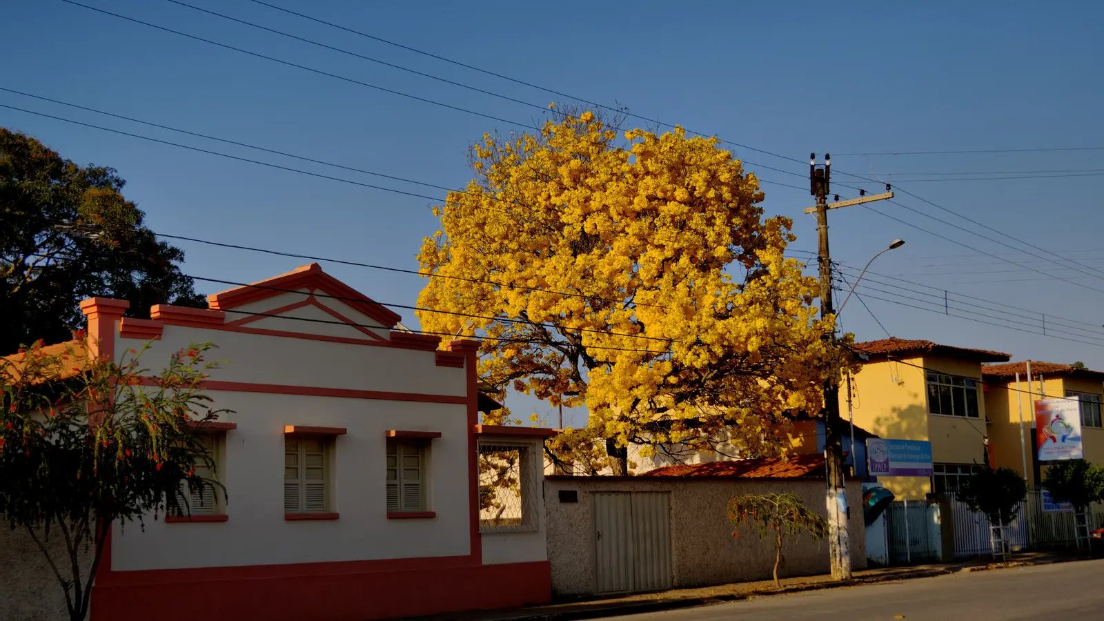 Conceição do Pará